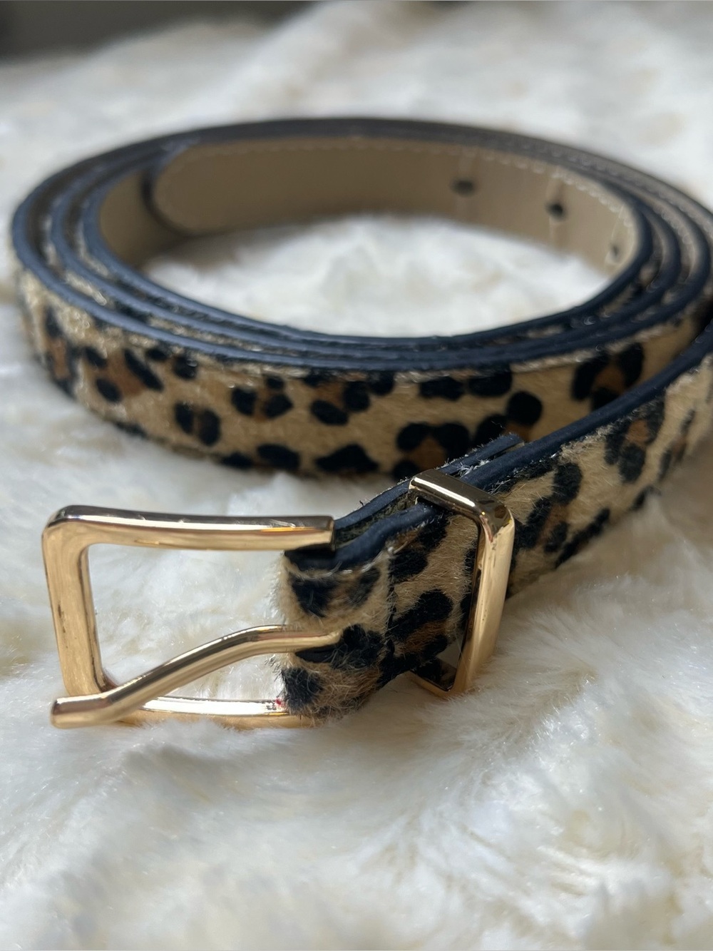 Leopard Print Belt with Gold Buckle 3X
